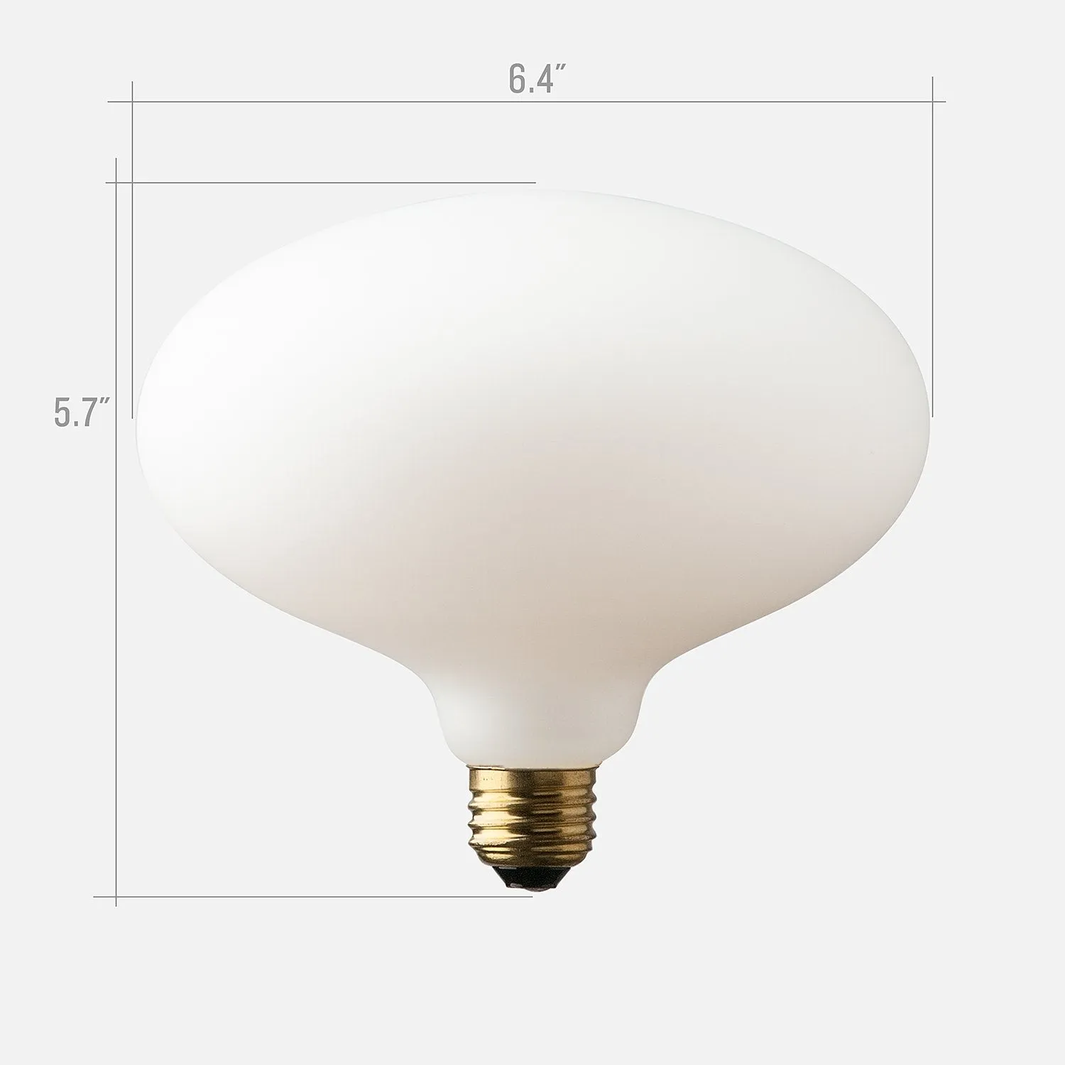 Oval Matte Porcelain LED Bulb