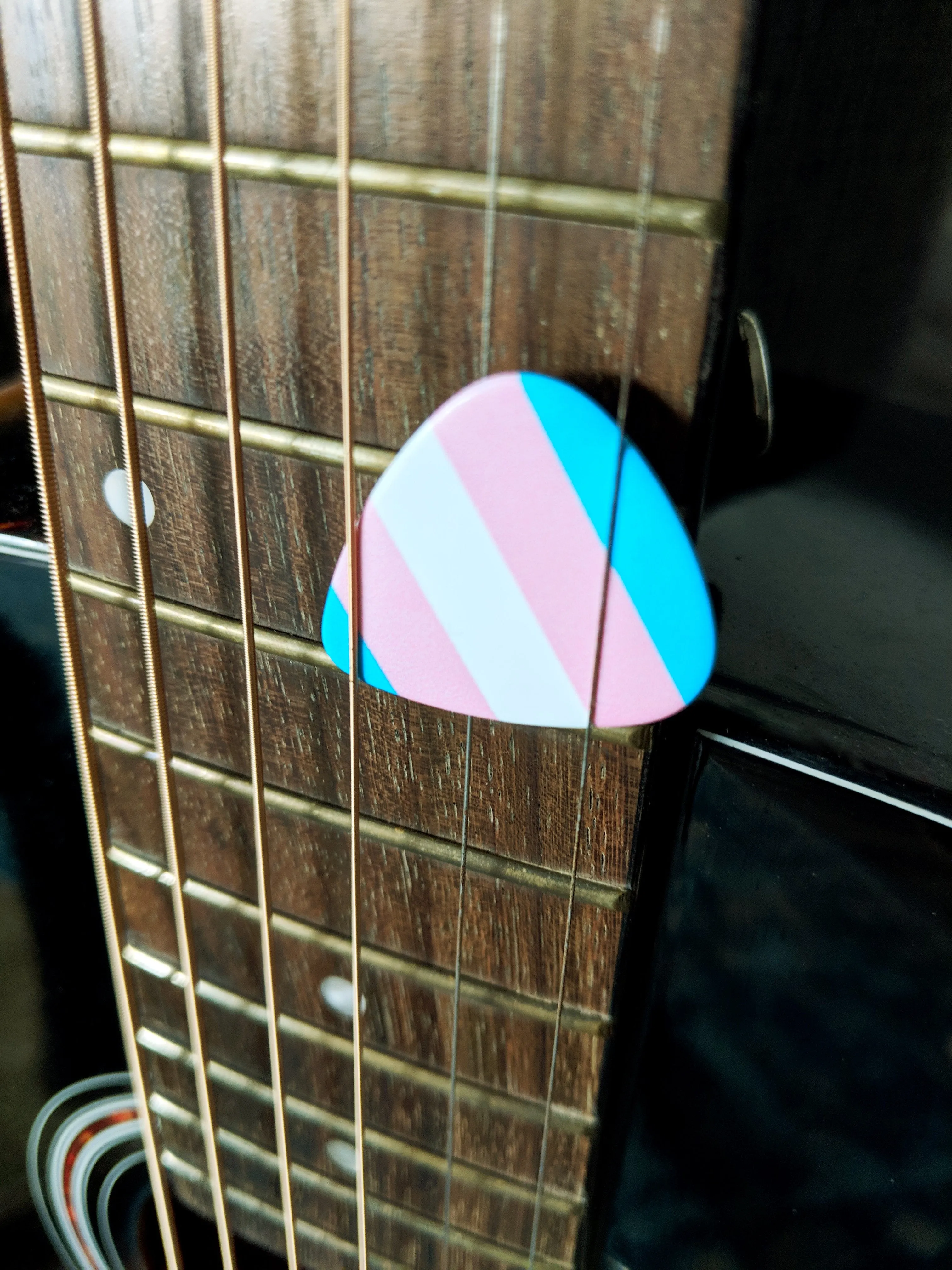 Set of 6 Pride Guitar Picks